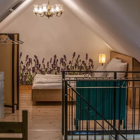 Oszter Udvarhaz Διαμέρισμα Kekkut