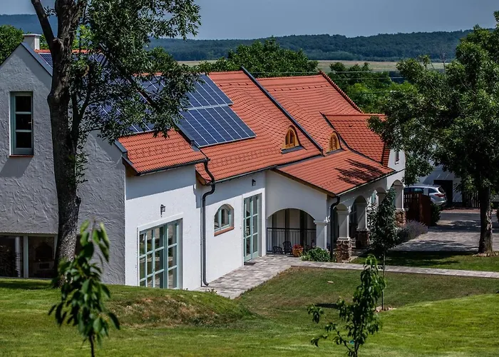 Oszter Udvarhaz דירה